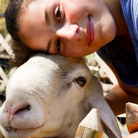 فندق تورو سول تراسيمينوفي  Borgo La Dogana المظهر الخارجي الصورة