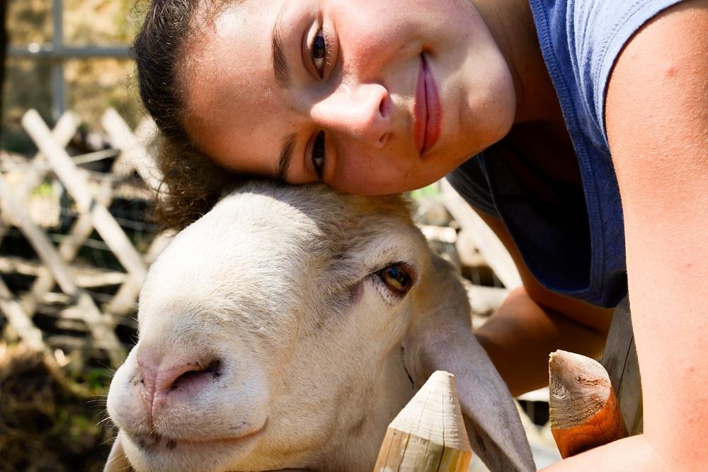 فندق تورو سول تراسيمينوفي  Borgo La Dogana المظهر الخارجي الصورة